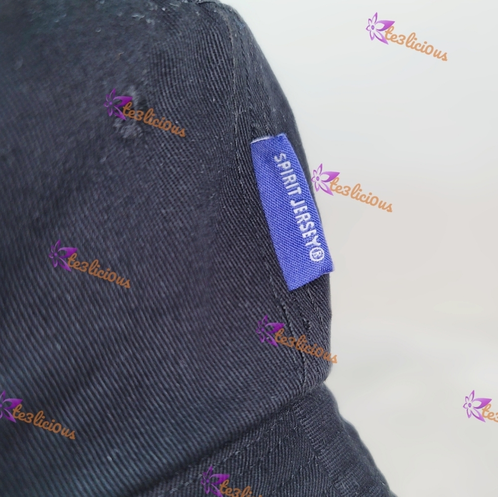 DISNEYLAND BUCKET HAT BY SPIRIT JERSEY - Picture 3 of 6